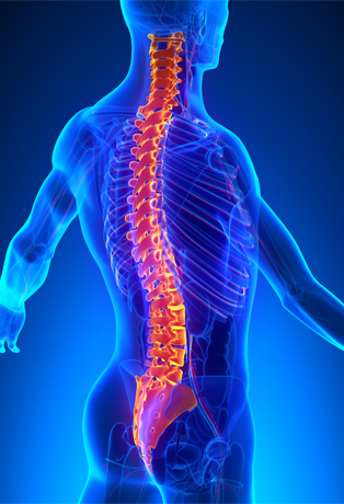 Spinal Cord Injury Treatment Research
